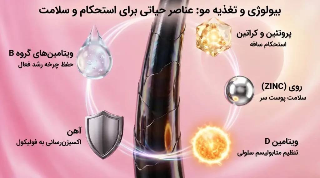 از ساقه موی مشکی به همراه نمادهای ویتامین دی، زینک، آهن و پروتئین کراتین در پسزمینه صورتی