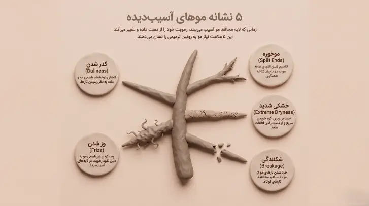 پنج المان خمیری شامل قطره آب، بطری پمپ‌دار، کاسه ماسک مو، اسپری و حوله لوله شده روی پس‌زمینه خاکستری