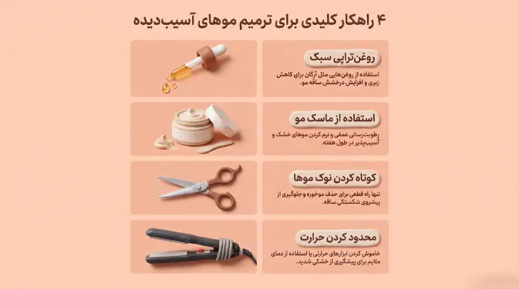 آیکون‌های قطره‌چکان روغن آرگان، کاسه کرم مو، قیچی و اتوی مو روی پس‌زمینه کرم.