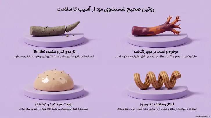 اینفوگرافیک چهار بخش روتین شستشوی مو 