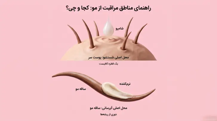 قطره شامپو روی پوست سر و ریشه موها 