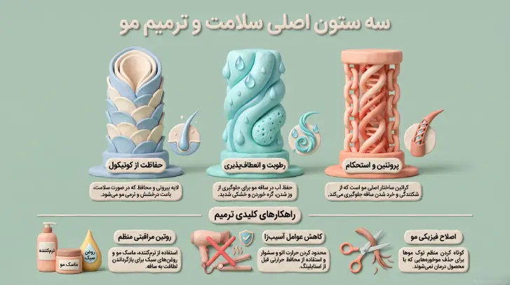 سه ستون خمیری سه بعدی نماد کاتیکل، رطوبت و پروتئین 
